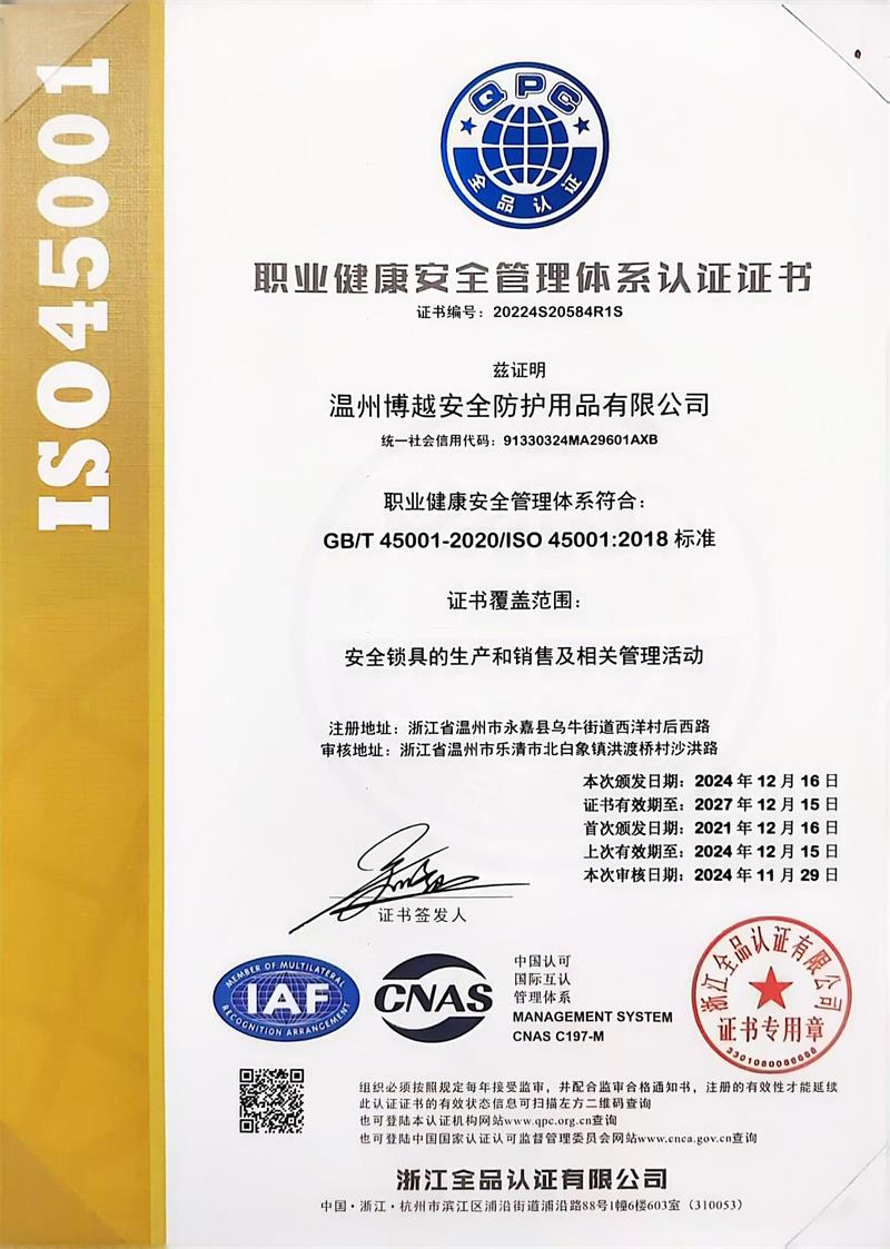 ISO 45001 (2)