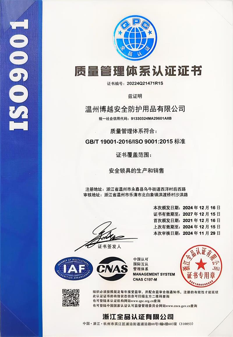 ISO 9001 (2)